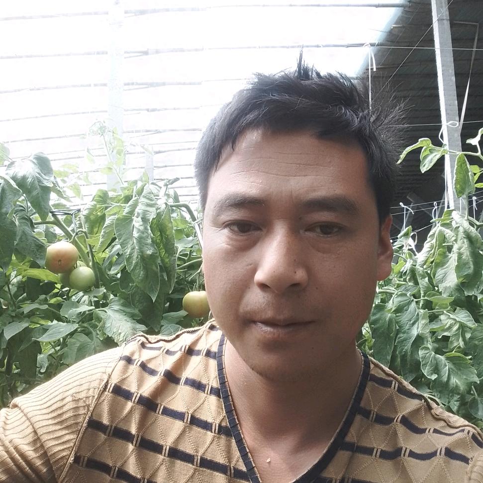 饶阳果蔬代办