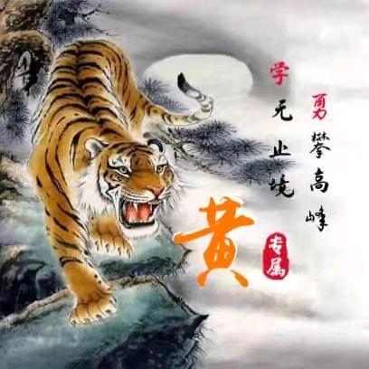 水木年华