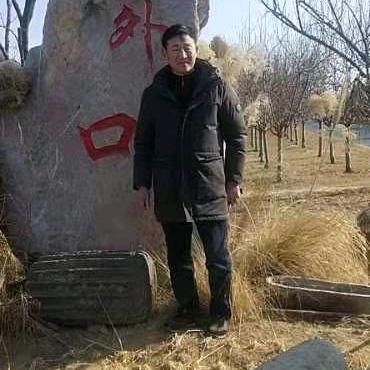 高春阳