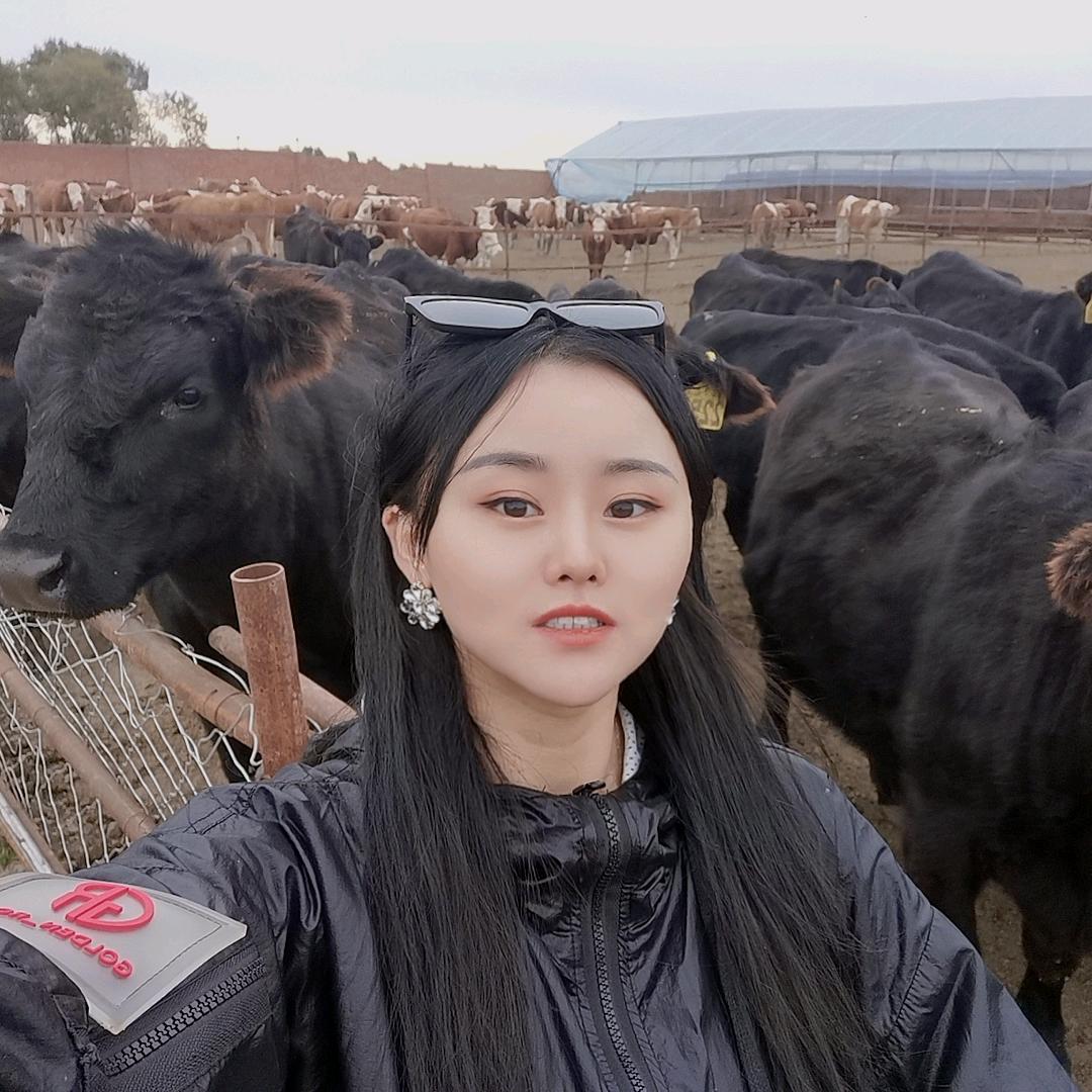 养牛的牛美利
