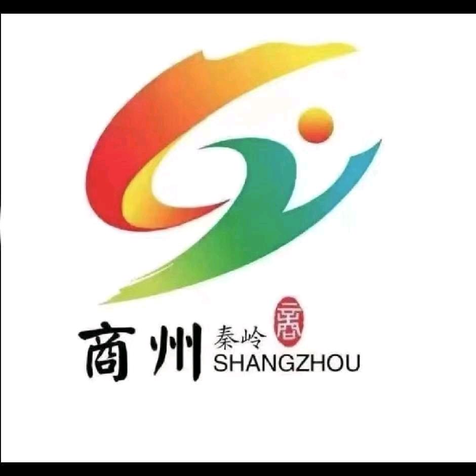 梦想154435663