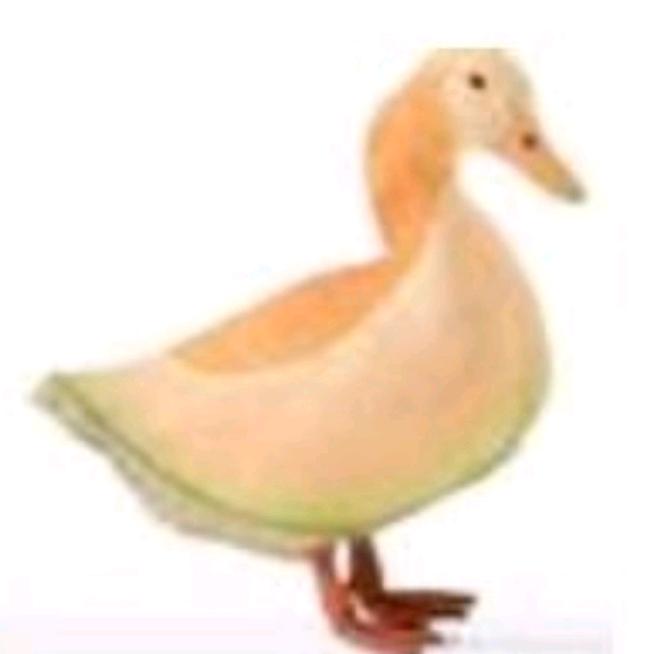 高冷忧郁哈密嘎