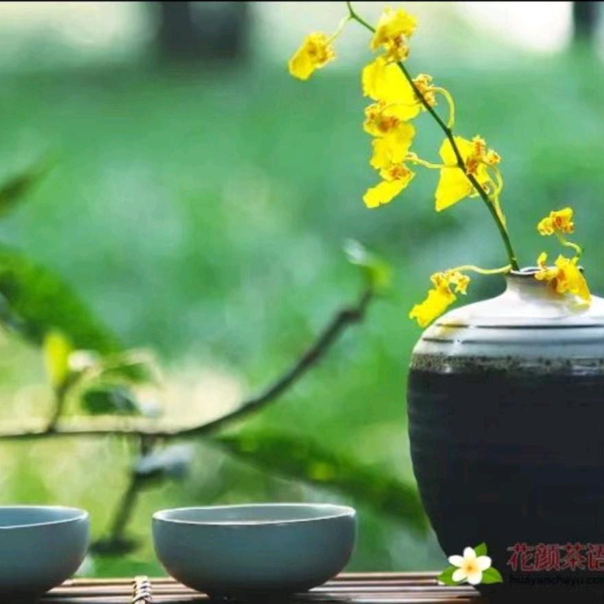 珍惜现在