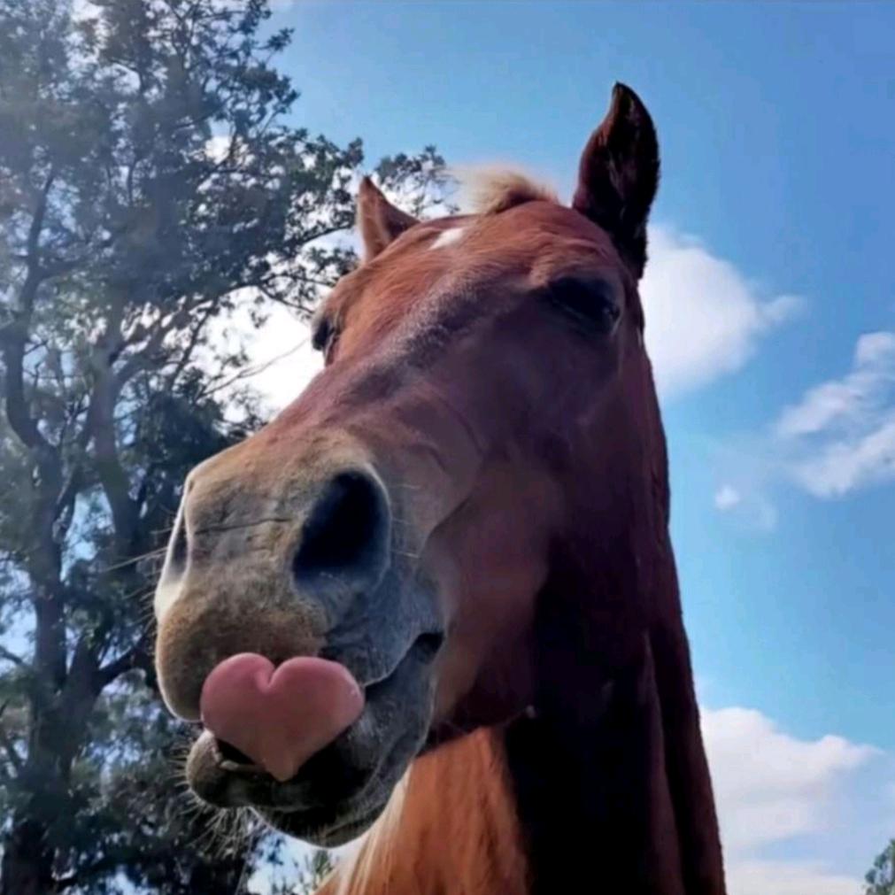 你瞅啥呢？