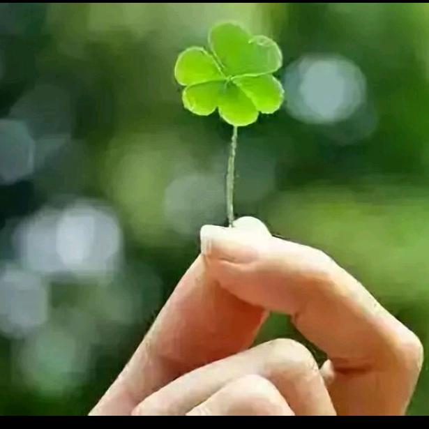 💖不为往事忧💞