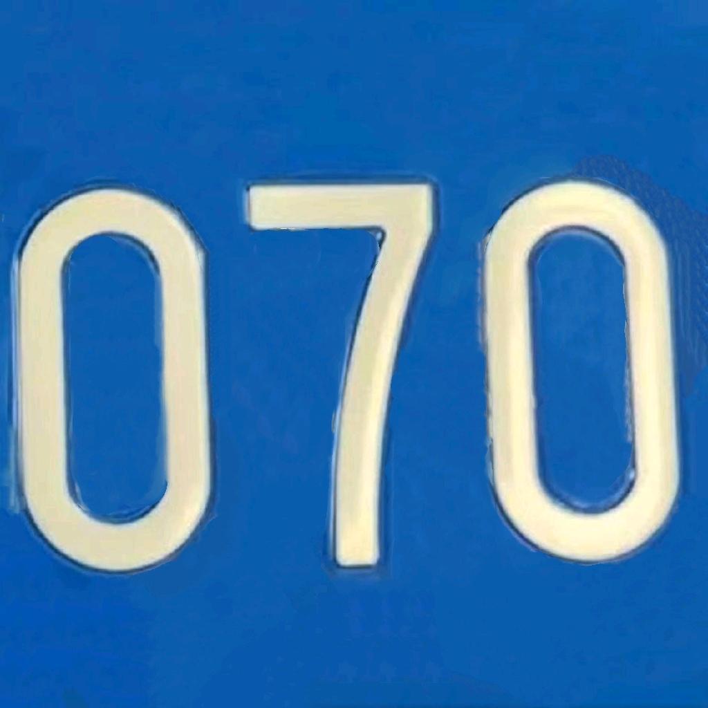 粤R 070(杨)