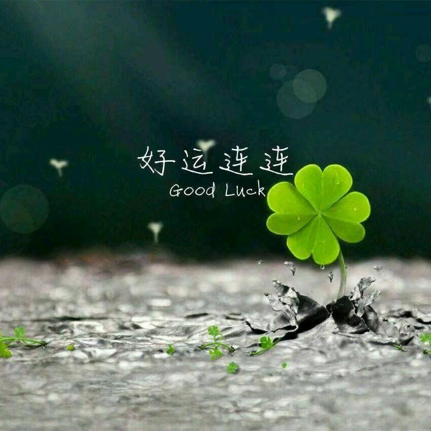 梦个梦@