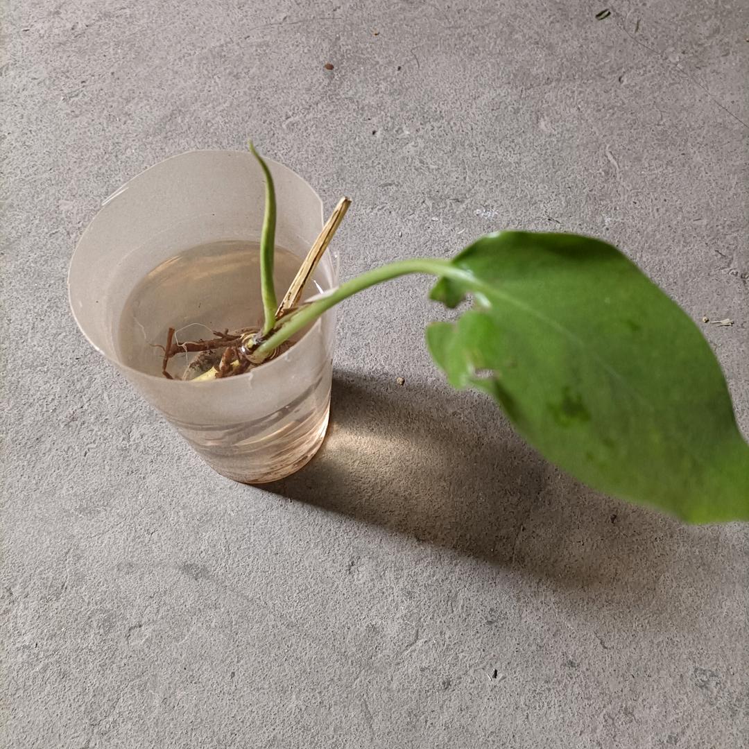 ໑ຼₒ₂₃ღ᭄岁月静好🕊꧔ꦿ᭄💞