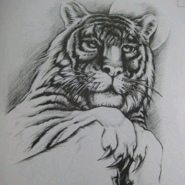 无迪爱犬☆☆☞