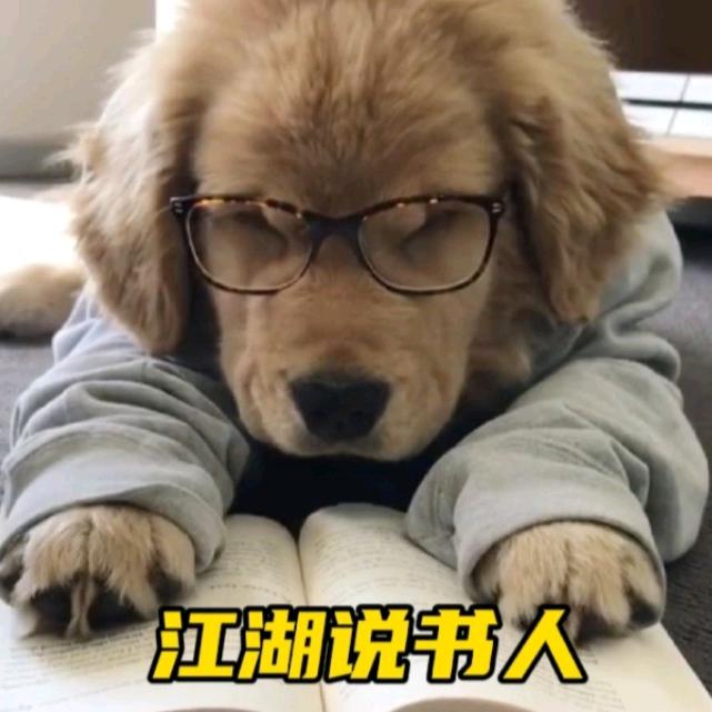 说书人丶艺