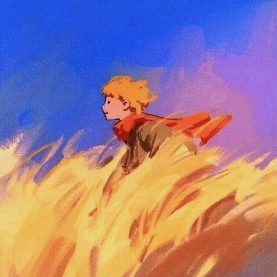 小邹胖乎乎🥰🥰