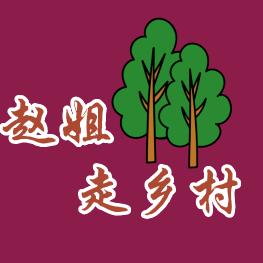 赵姐走乡村