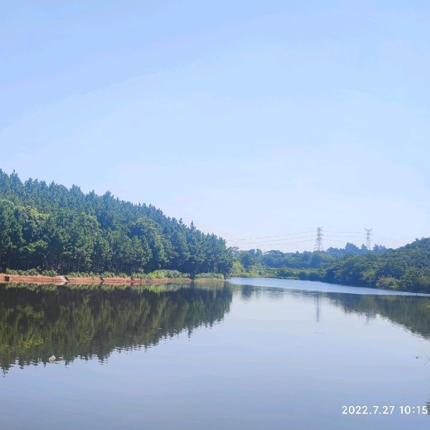 长沙岳阳本地特种鱼苗供应何