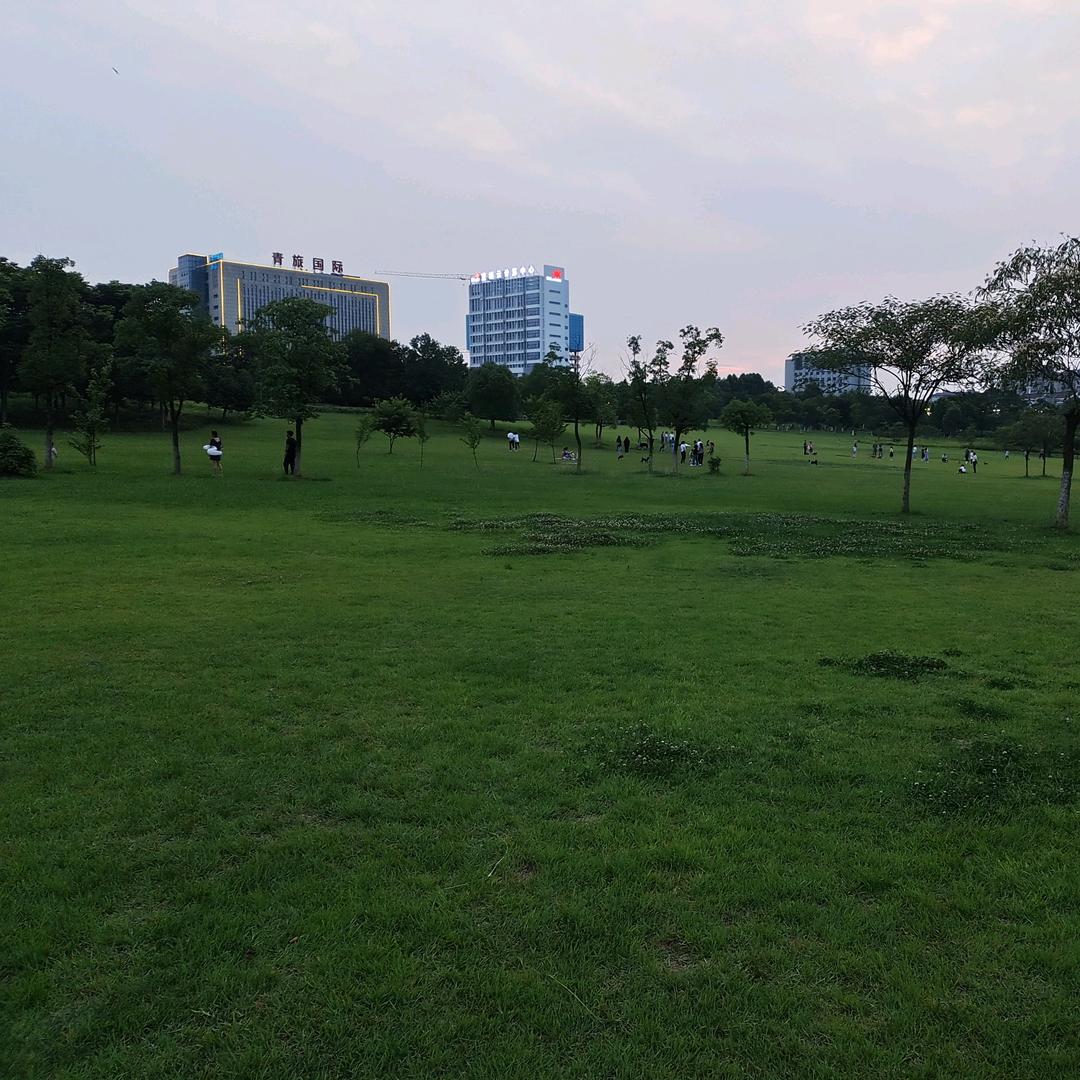 高山上的橙子