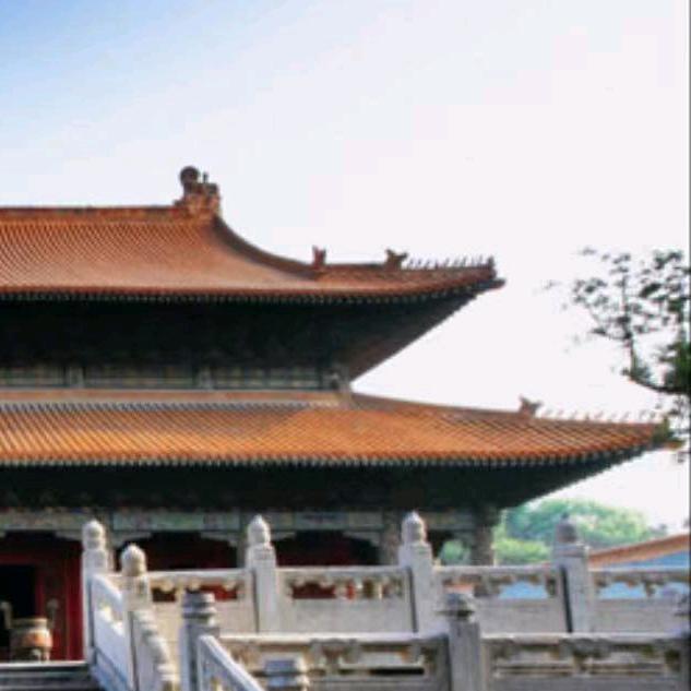 琛*