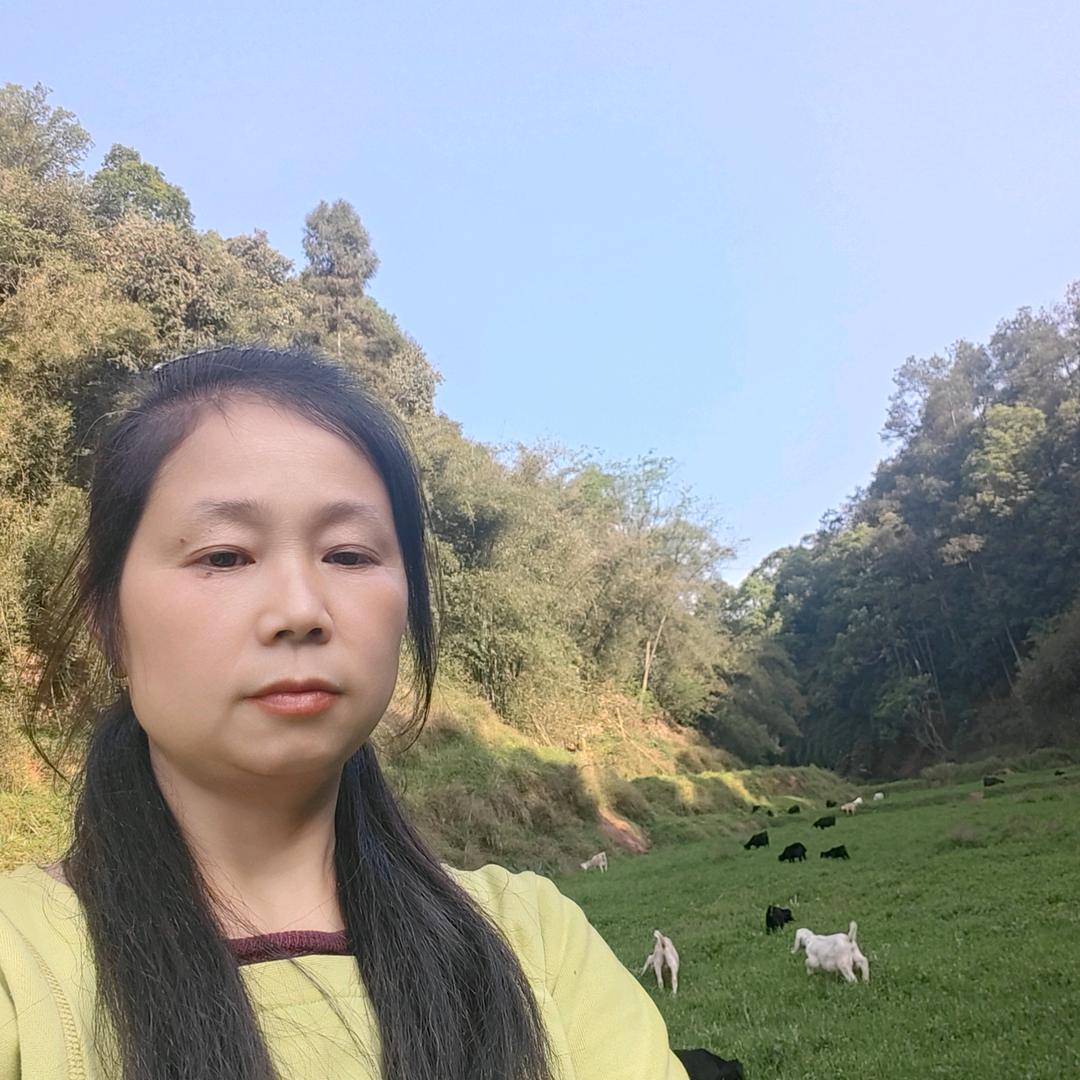 放羊人