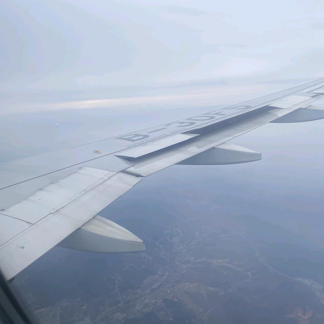 风随心动还是心随风动