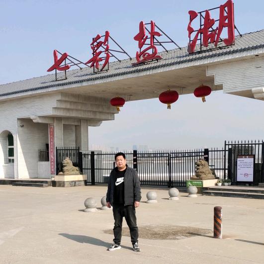 凤求凰
