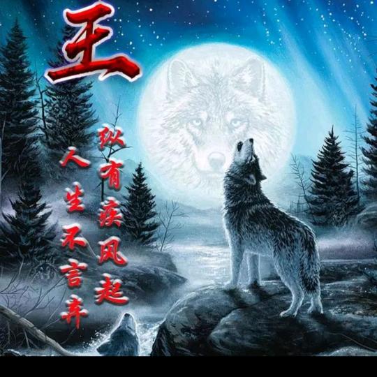 清风：五音不全