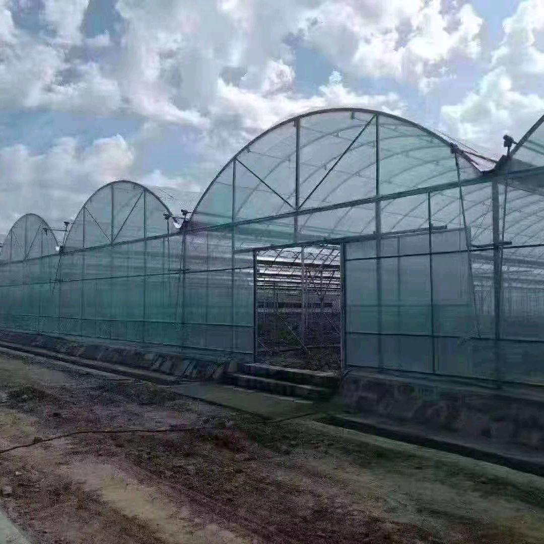 专业建造温室棚👍