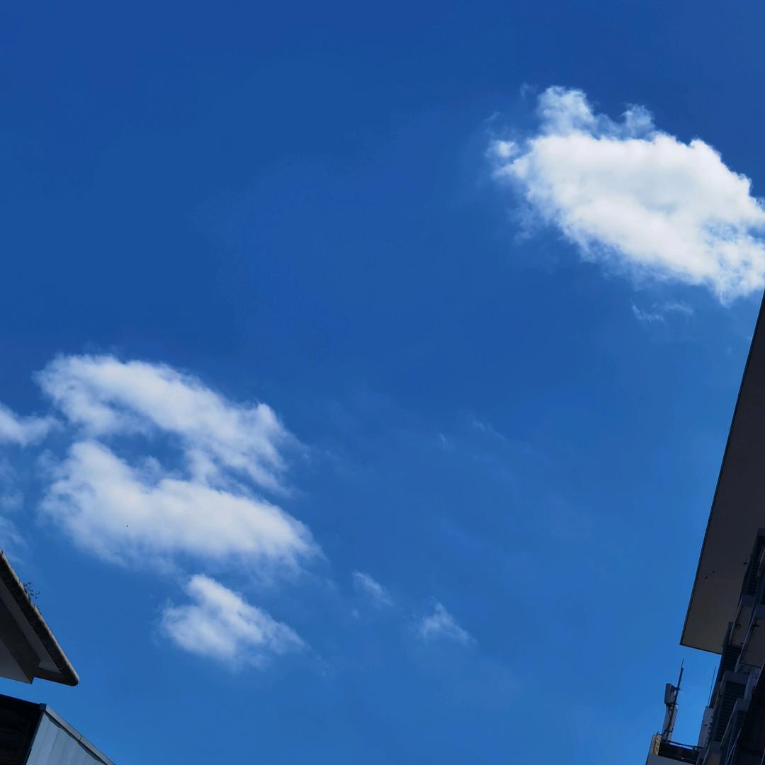 淡淡的甜甜