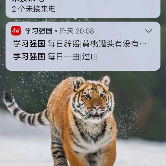 手机用户74380492447