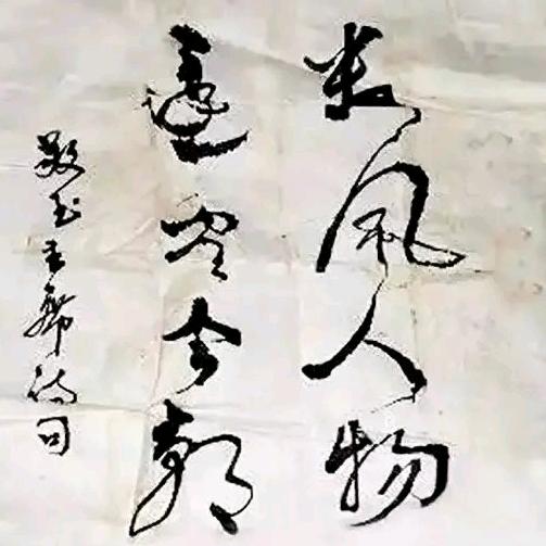 长城金南极