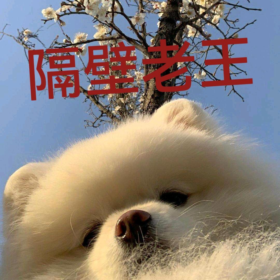 隔壁老王🐼