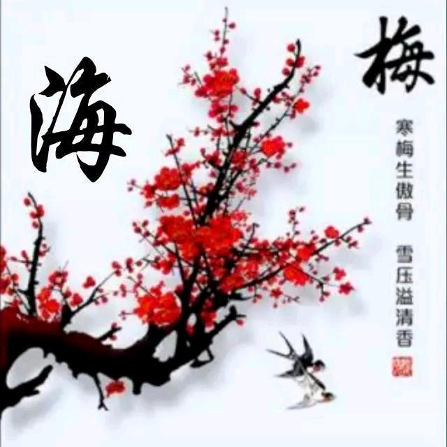 四大皆空