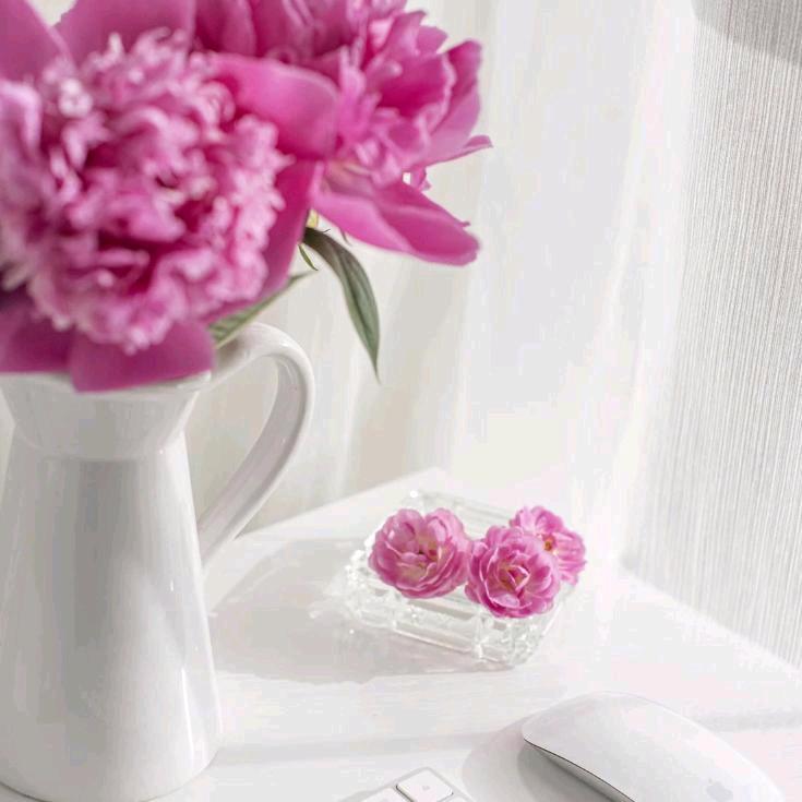 我的世界没有你