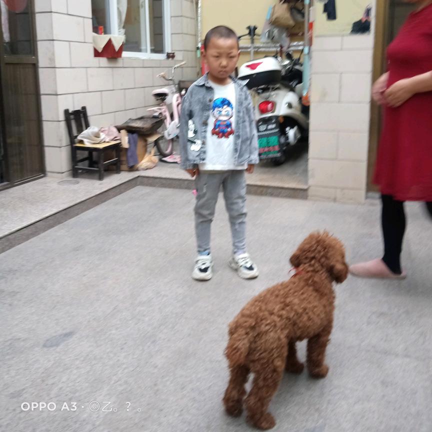 聚仙阁🦊🐍霞