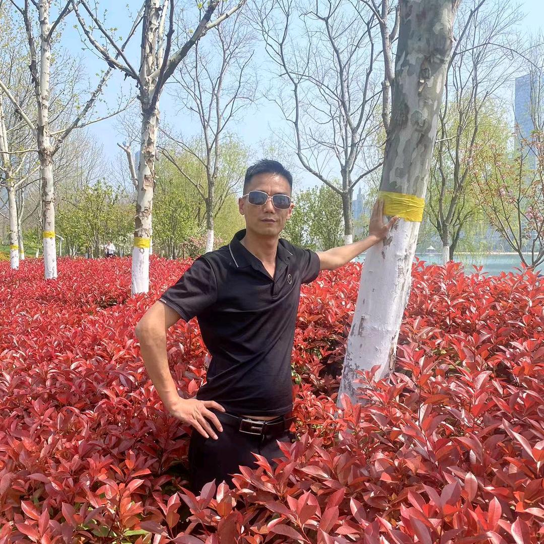 一个多情而无情的人