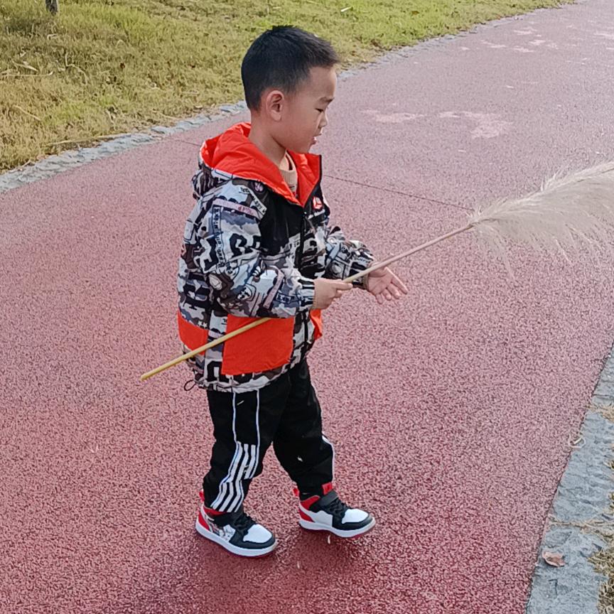 小飞
