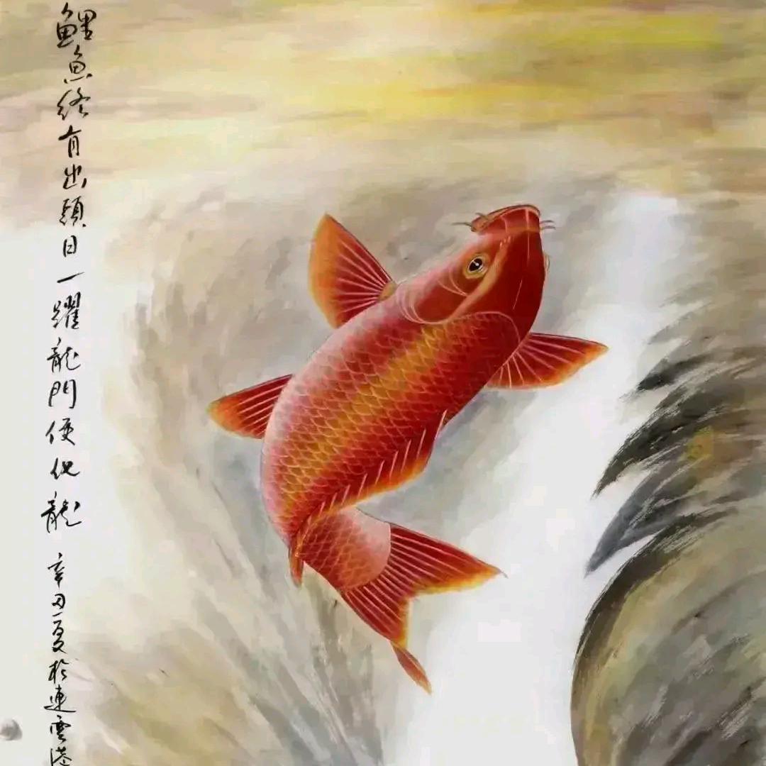 @吉利头像