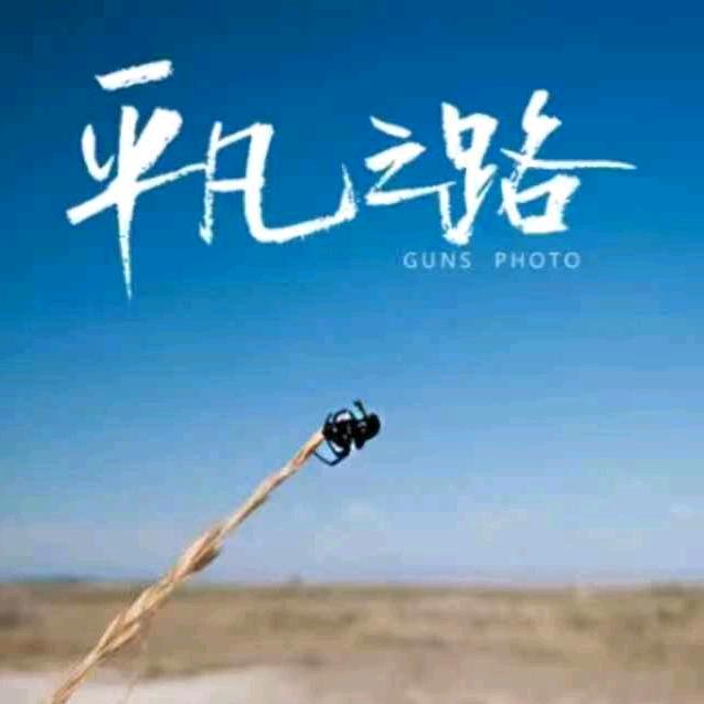 平凡人生