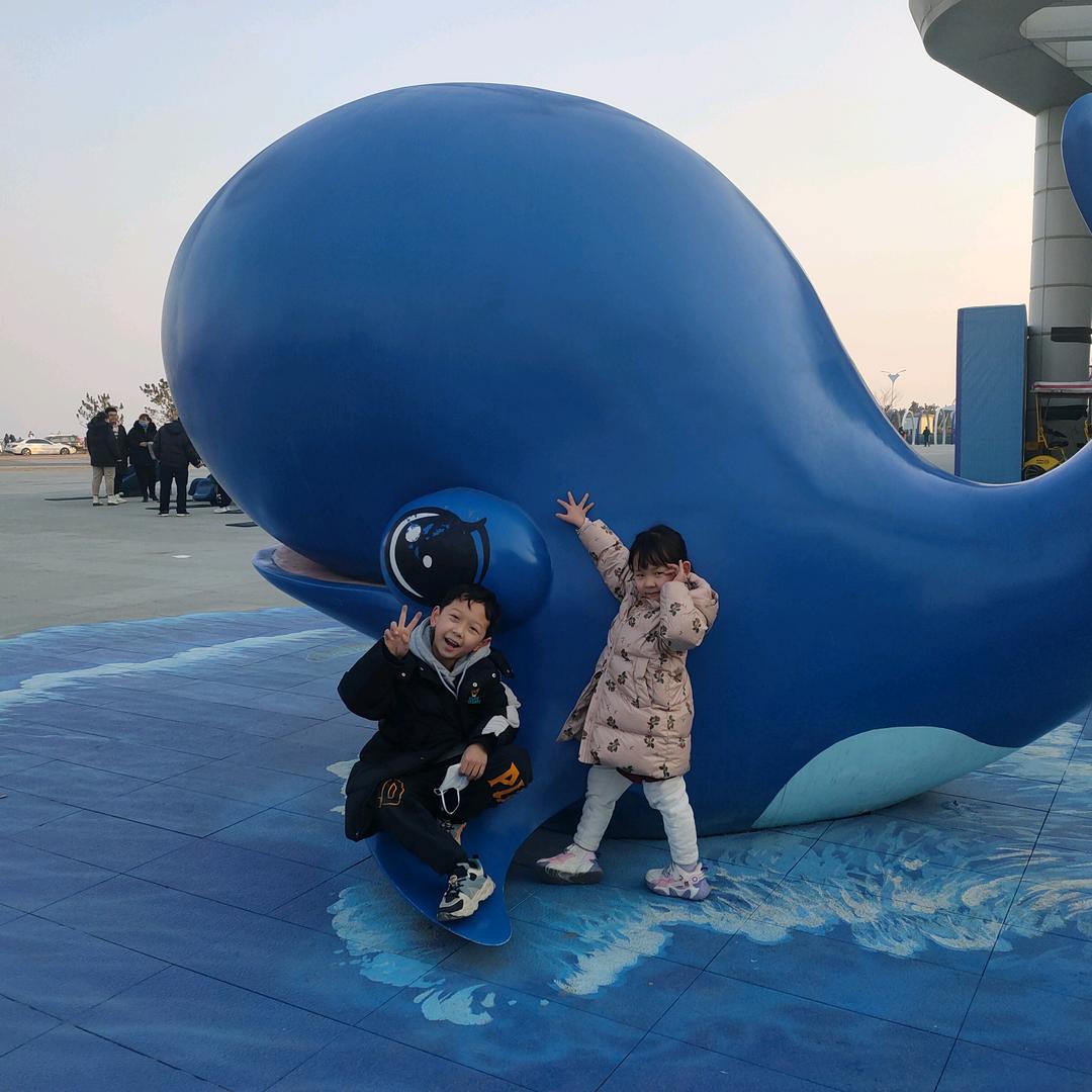 听花舞姿✺◟(∗❛ัᴗ❛ั∗)◞✺