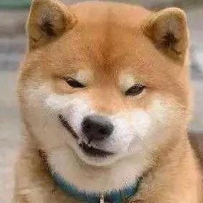 纠纠⁹¹⁶⁴⁰⁷