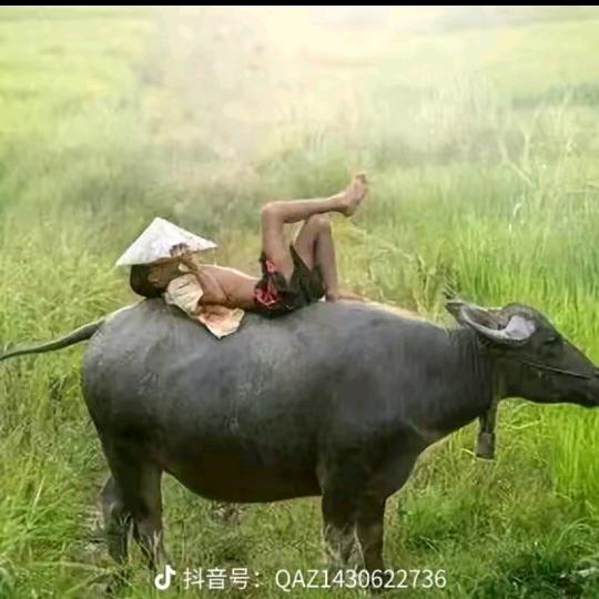 风生水起（中医聊健康）