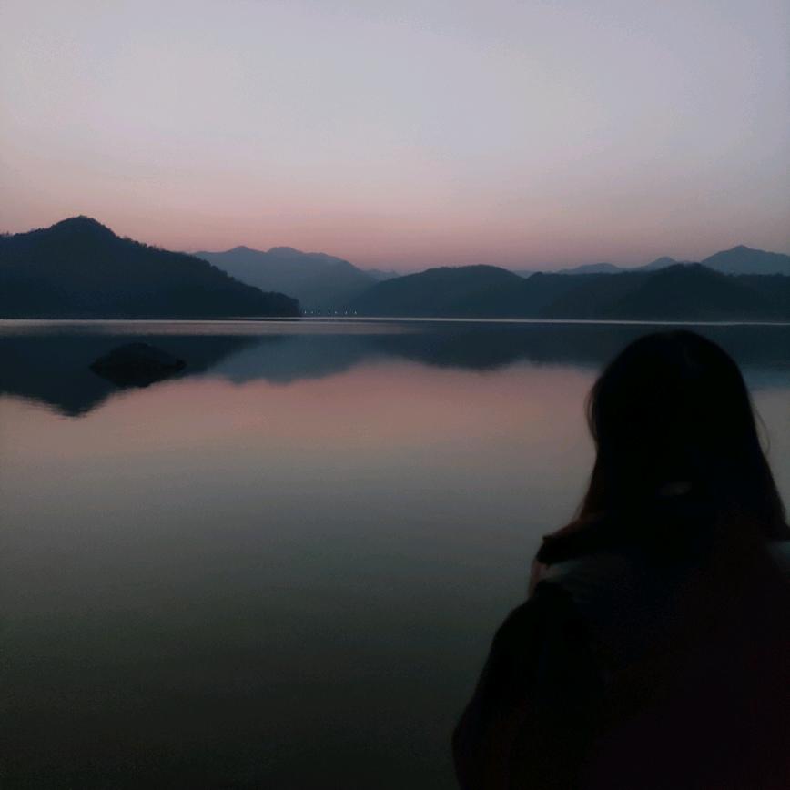 曾经的“旺宠”