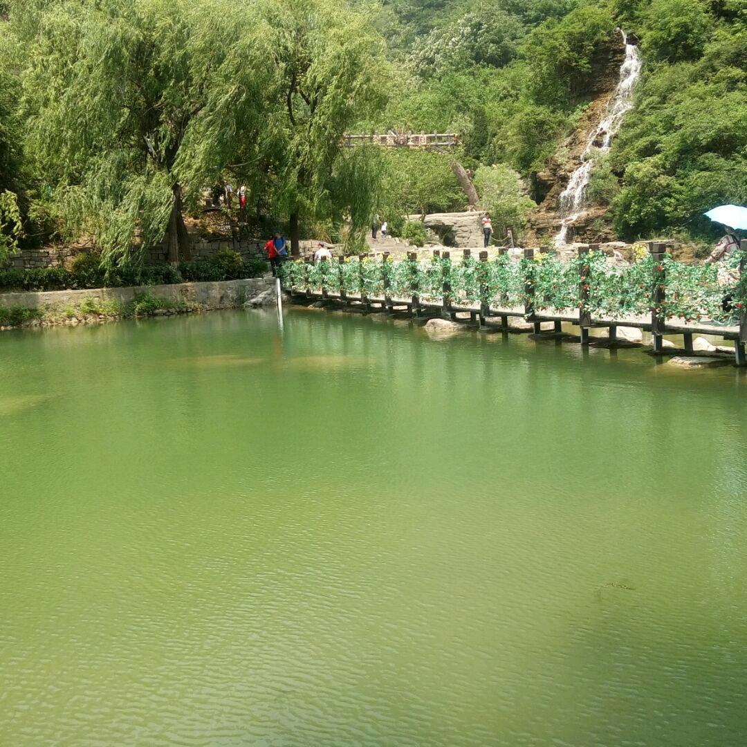 夏天🍉