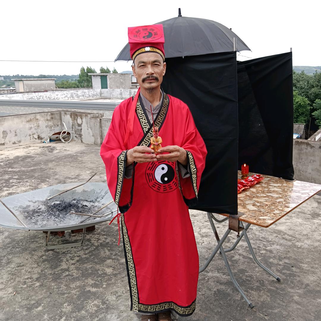 梧桐客松