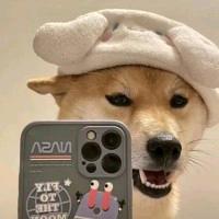 𝗞𝗼𝗶𝗺𝗶𝗮𝗼 🧸