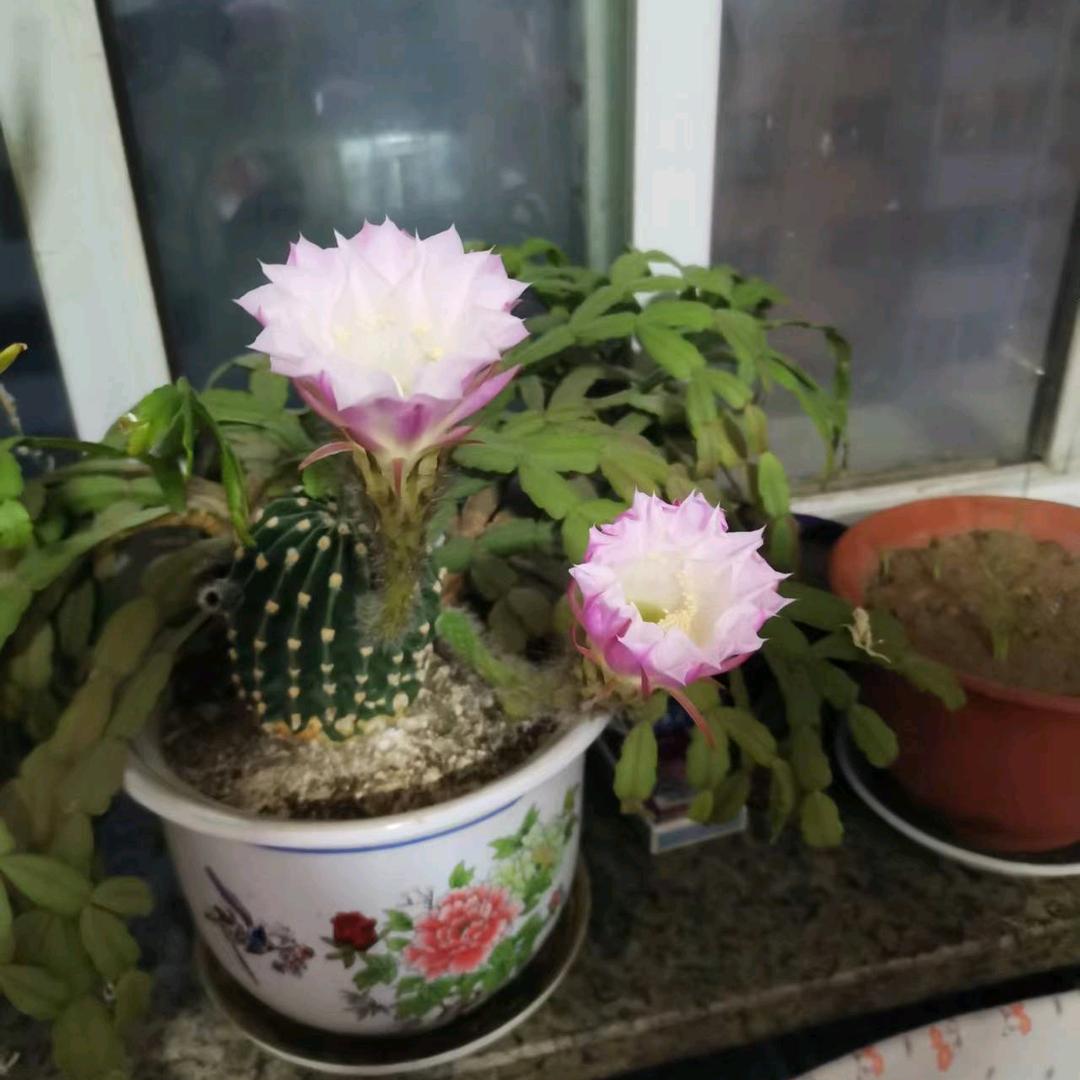 用户343868340297434113