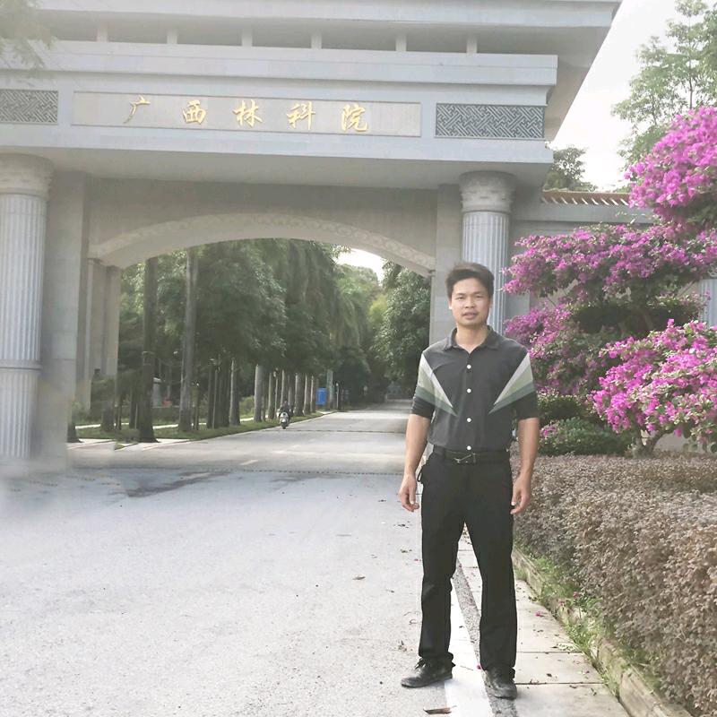 小克种岗松