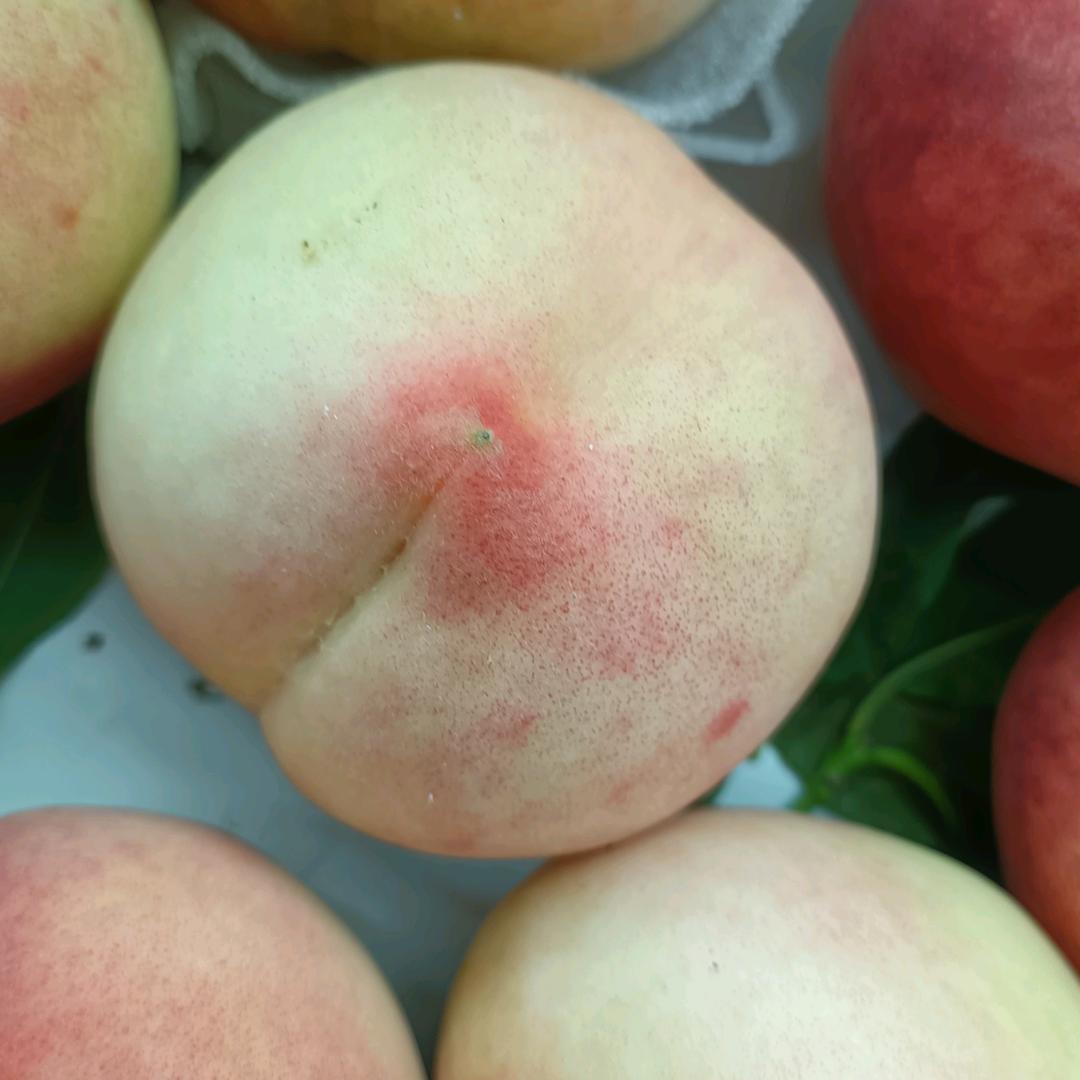 小熊想在12点以前睡觉