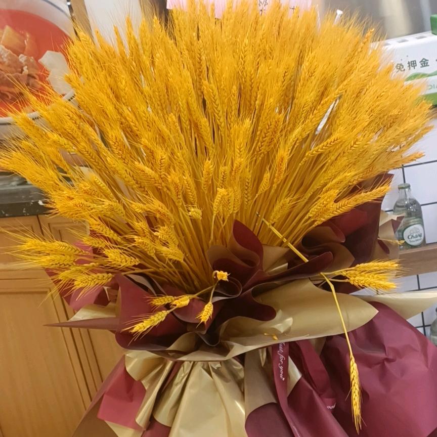 骑着蜗牛去流浪