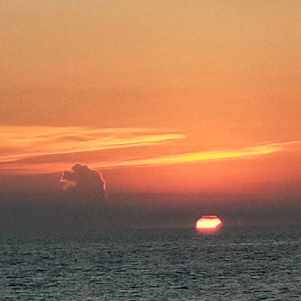 浦江龍