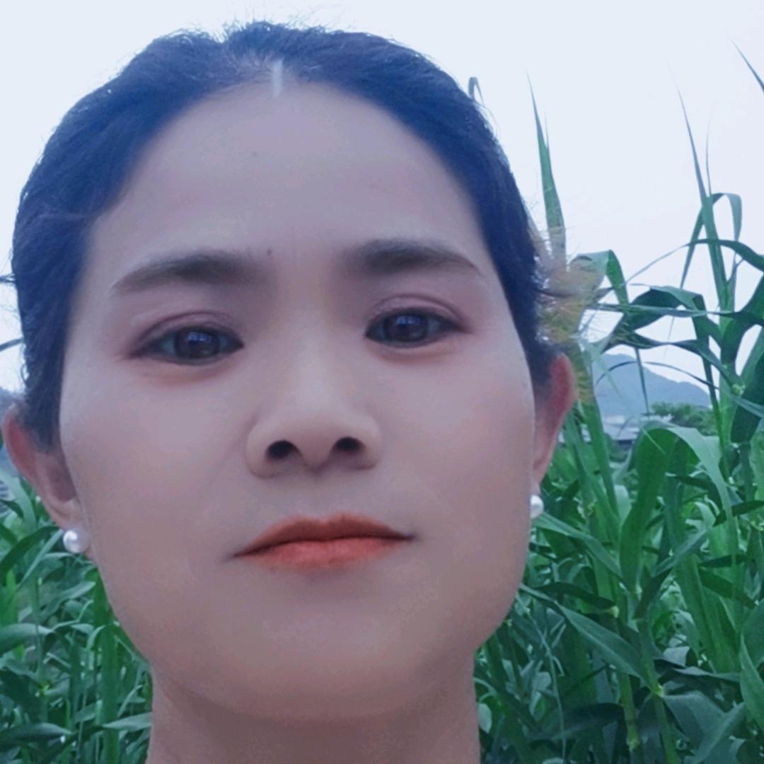 夏家姑娘