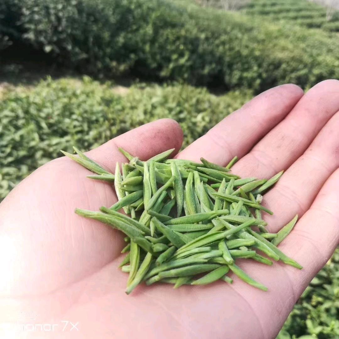 李涛茶坊