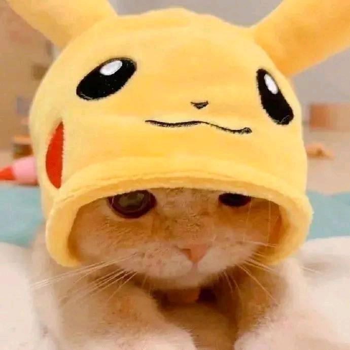 炫电炒饭的🐱